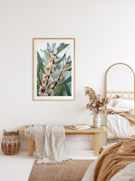 Native Blossom Photography Print