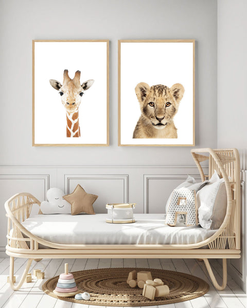 Baby Lion Print-Prints for - BOYS-Online Framed-Australian Made Wall Art-Milk n Honey Designs