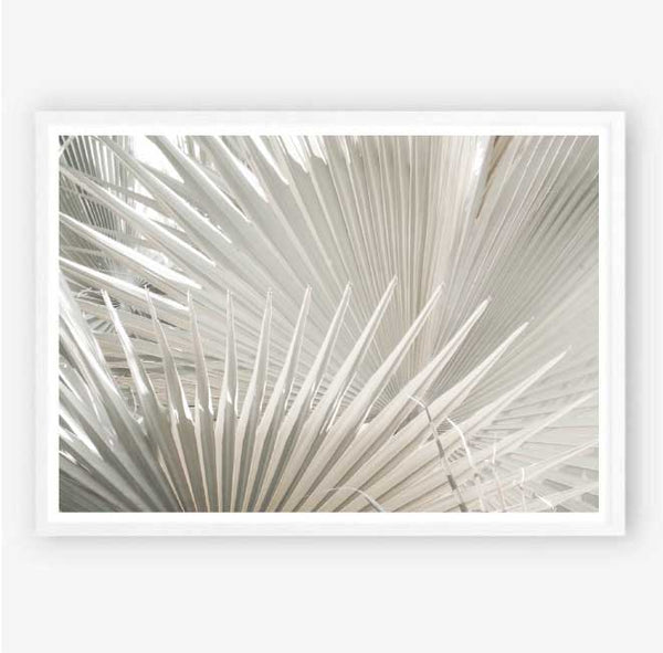 Nude Fan Palms Print-Art for Interiors-Online Framed-Australian Made Wall Art-Milk n Honey Designs