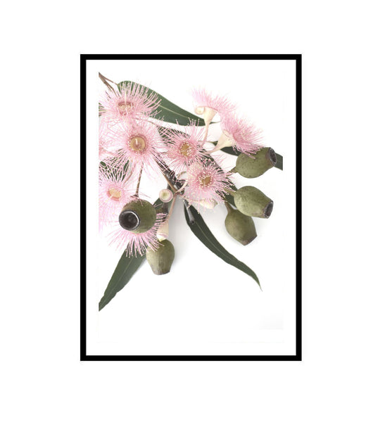 Pink Gum Blossom Print - Portrait-Art for Interiors-Online Framed-Australian Made Wall Art-Milk n Honey Designs