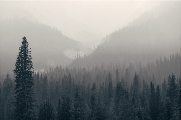 Misty Mountains Photography Print-Art for Interiors-Online Framed-Australian Made Wall Art-Milk n Honey Designs