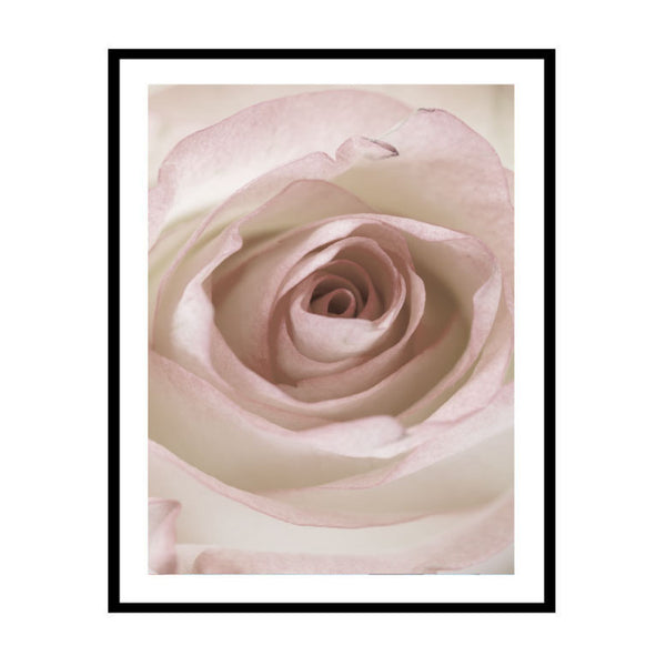 Morning Bloom Print-Art for Interiors-Online Framed-Australian Made Wall Art-Milk n Honey Designs