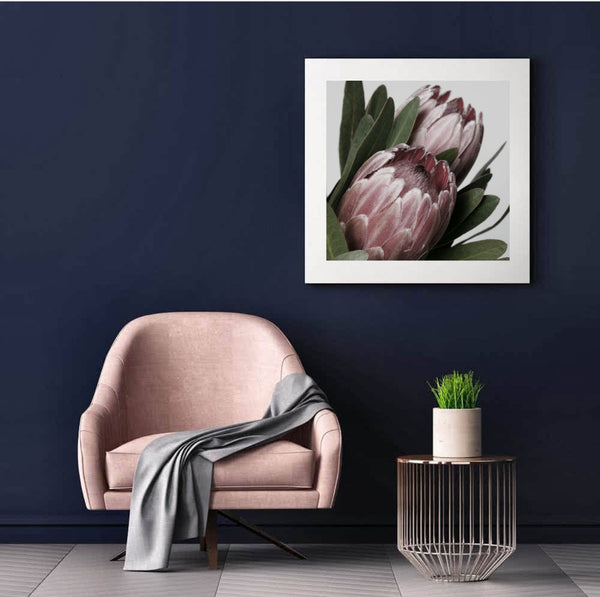 Protea in Bloom Print-Art for Interiors-Online Framed-Australian Made Wall Art-Milk n Honey Designs