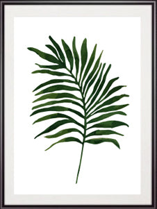 Palm and Monstera Leaf Set of 3 Prints-Art for Interiors-Online Framed-Australian Made Wall Art-Milk n Honey Designs