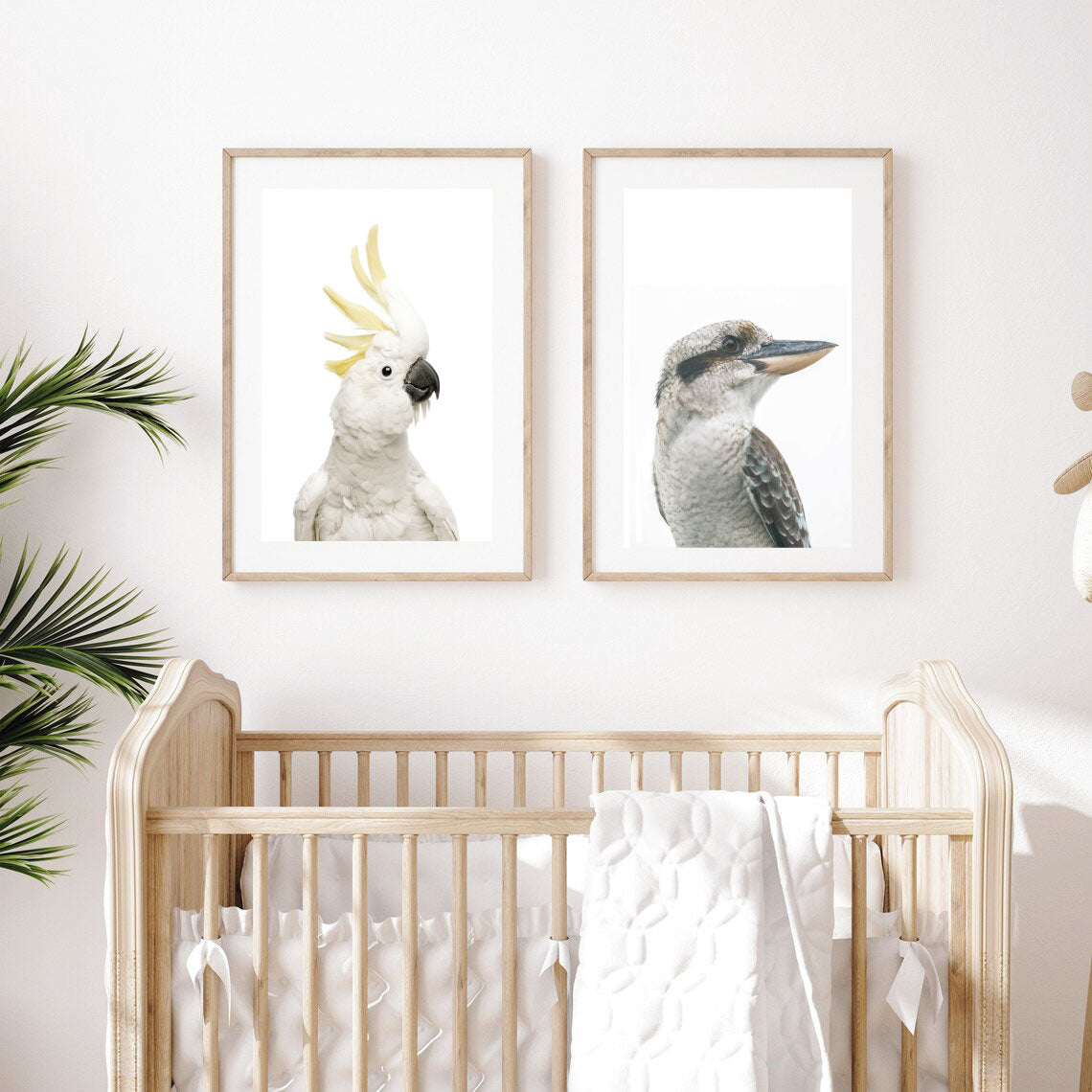 Cockatoo and Kookaburra Australian Birds Print Set