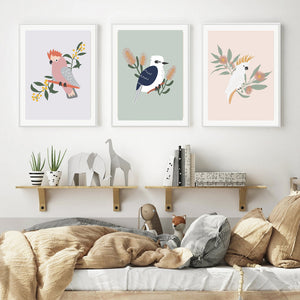 Australian Birds Trio Prints - Set of 3