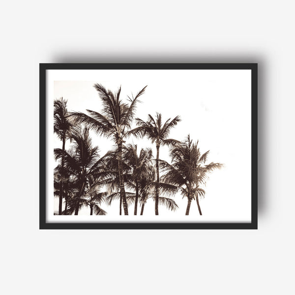 Black and White Palms Print