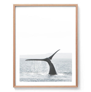 Hump Back Whale Ocean Print