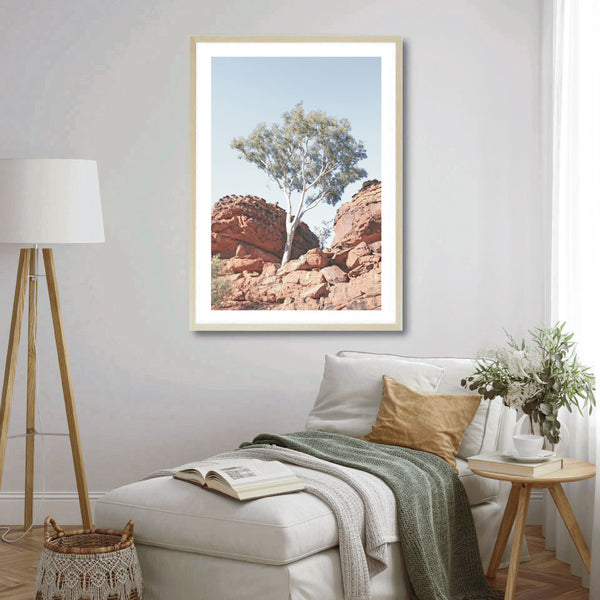 Red Rock Gum Photography Print