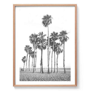Venice Beach Palms Print