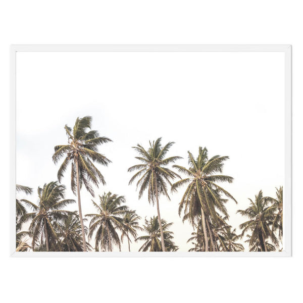 Palms for Days Print
