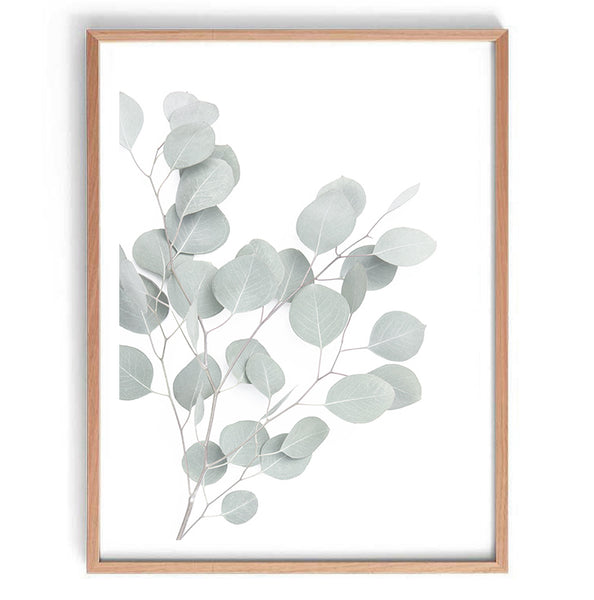 Eucalyptus Leaves Print-Art for Interiors-Online Framed-Australian Made Wall Art-Milk n Honey Designs