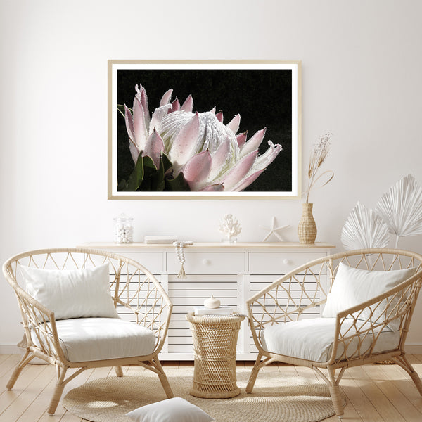Dark Protea Print-Art for Interiors-Online Framed-Australian Made Wall Art-Milk n Honey Designs