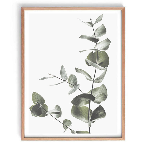 Eucalyptus Leaves II Print-Art for Interiors-Online Framed-Australian Made Wall Art-Milk n Honey Designs
