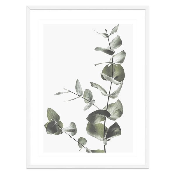 Eucalyptus Leaves II Print-Art for Interiors-Online Framed-Australian Made Wall Art-Milk n Honey Designs