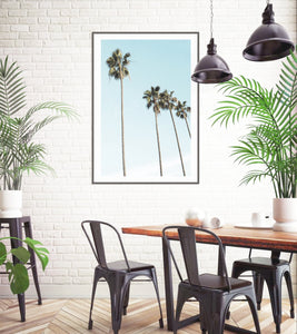 Aqua Palms Photography Print-Art for Interiors-Online Framed-Australian Made Wall Art-Milk n Honey Designs