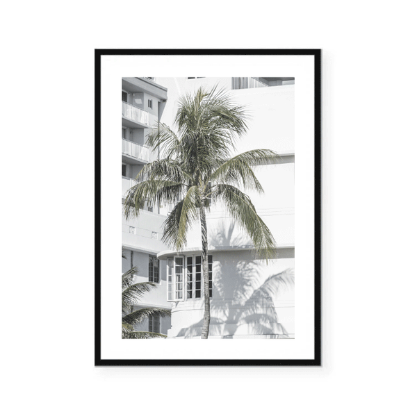 Miami Palm Print