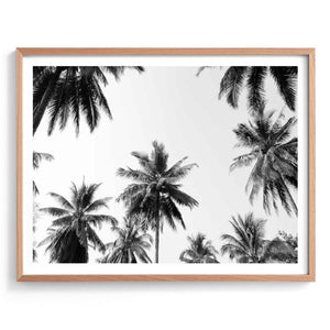 Coco Palms Unframed 50x70 Print-Art for Interiors-Online Framed-Australian Made Wall Art-Milk n Honey Designs