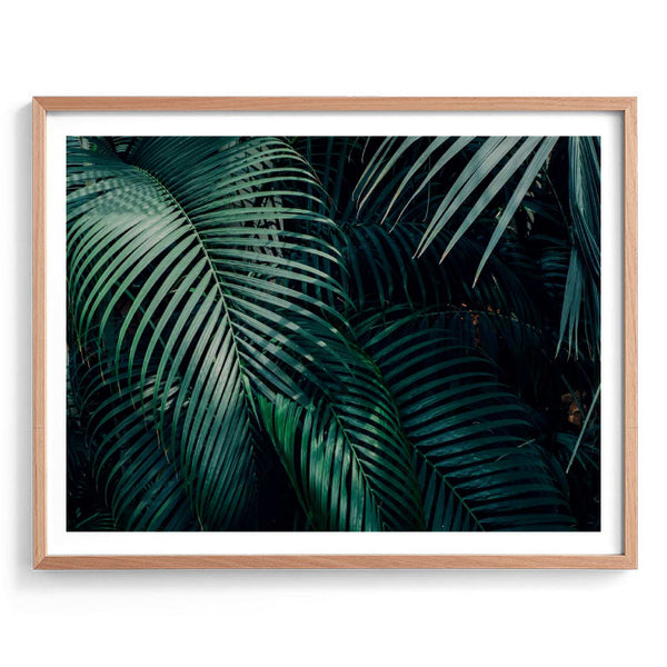 Dark Palms Print-Art for Interiors-Online Framed-Australian Made Wall Art-Milk n Honey Designs