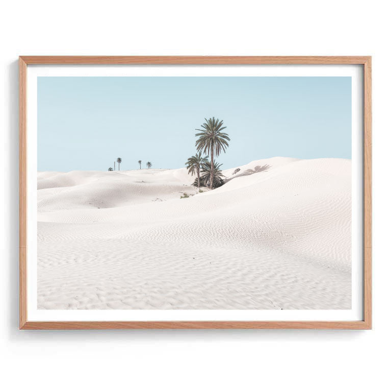 Desert Palms Photography Print-Art for Interiors-Online Framed-Australian Made Wall Art-Milk n Honey Designs