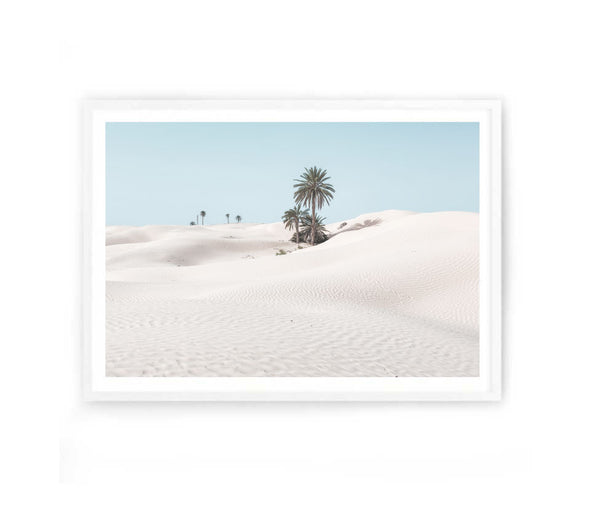 Desert Palms Photography Print-Art for Interiors-Online Framed-Australian Made Wall Art-Milk n Honey Designs