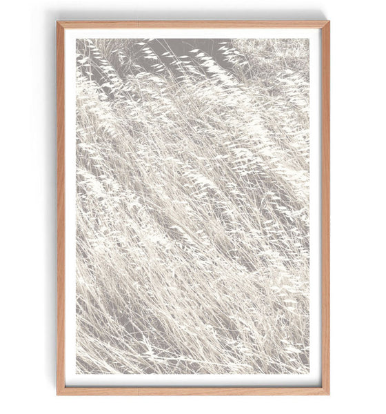Dried Grasses Set of 2-Art for Interiors-Online Framed-Australian Made Wall Art-Milk n Honey Designs