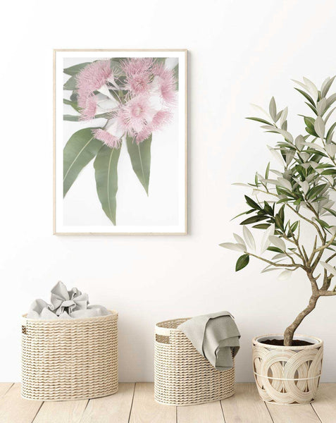 Flowering Gum Print-Art for Interiors-Online Framed-Australian Made Wall Art-Milk n Honey Designs