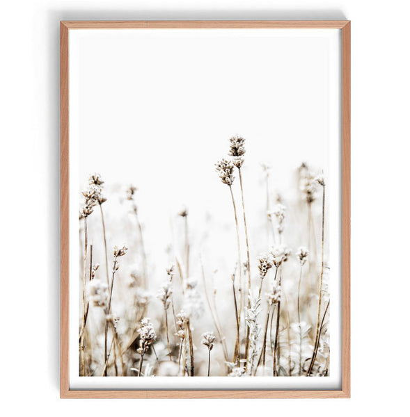 Dried Grasses Set of 2-Art for Interiors-Online Framed-Australian Made Wall Art-Milk n Honey Designs