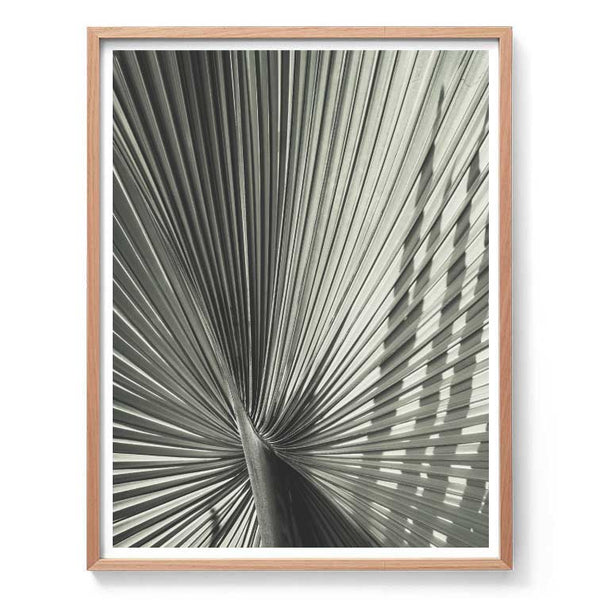 Green Fan Palm Print-Art for Interiors-Online Framed-Australian Made Wall Art-Milk n Honey Designs
