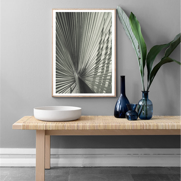 Green Fan Palm Print-Art for Interiors-Online Framed-Australian Made Wall Art-Milk n Honey Designs