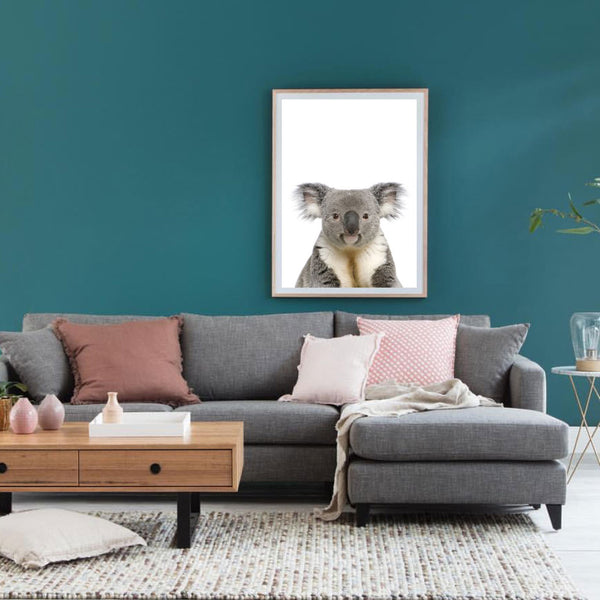 Koala Photographic Print-Art for Interiors-Online Framed-Australian Made Wall Art-Milk n Honey Designs