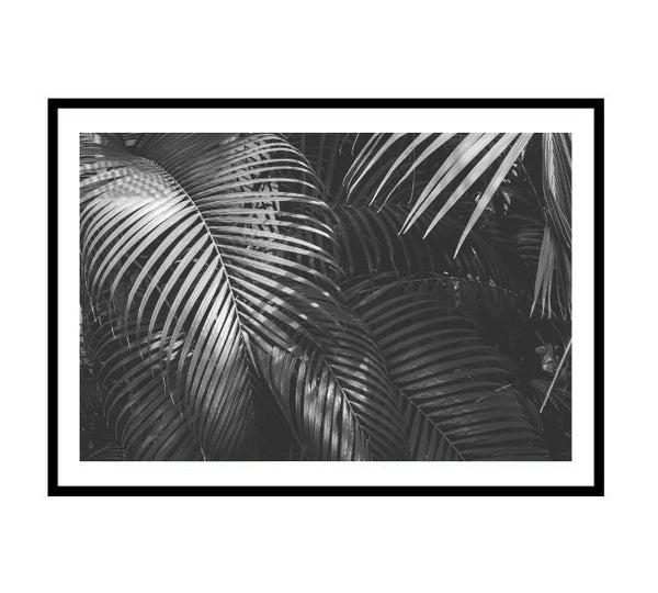 Mono Palms Print-Art for Interiors-Online Framed-Australian Made Wall Art-Milk n Honey Designs