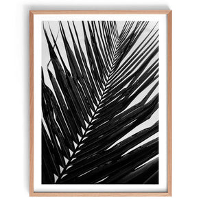 Mono Palm Leaf Print-Art for Interiors-Online Framed-Australian Made Wall Art-Milk n Honey Designs