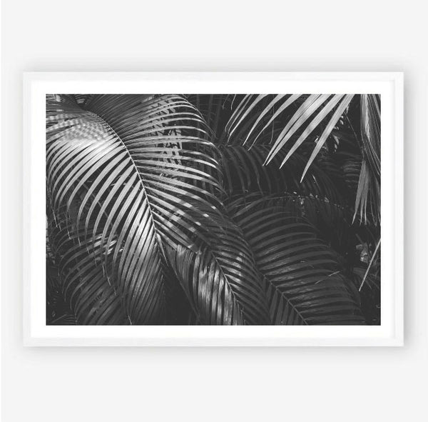 Mono Palms Print-Art for Interiors-Online Framed-Australian Made Wall Art-Milk n Honey Designs