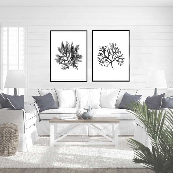 Monochrome Watercolour Seaweed & Coral Set of 2-Art for Interiors-Online Framed-Australian Made Wall Art-Milk n Honey Designs