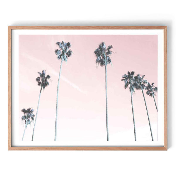 Pink Palms Photography Print-Art for Interiors-Online Framed-Australian Made Wall Art-Milk n Honey Designs