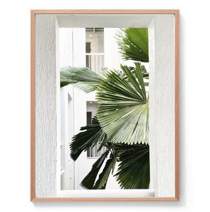 Port Douglas Palm Print