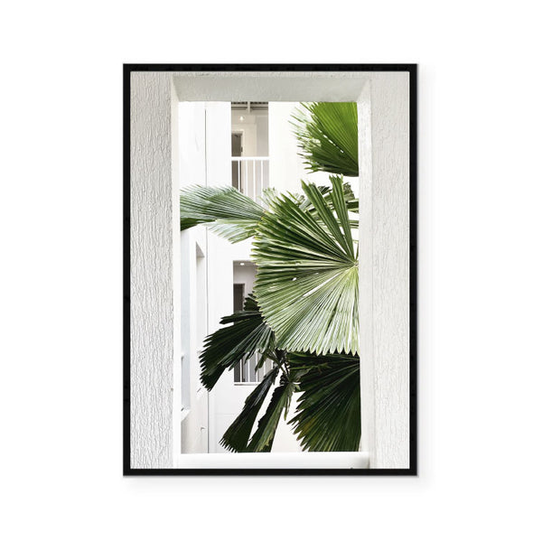 Port Douglas Palm Print