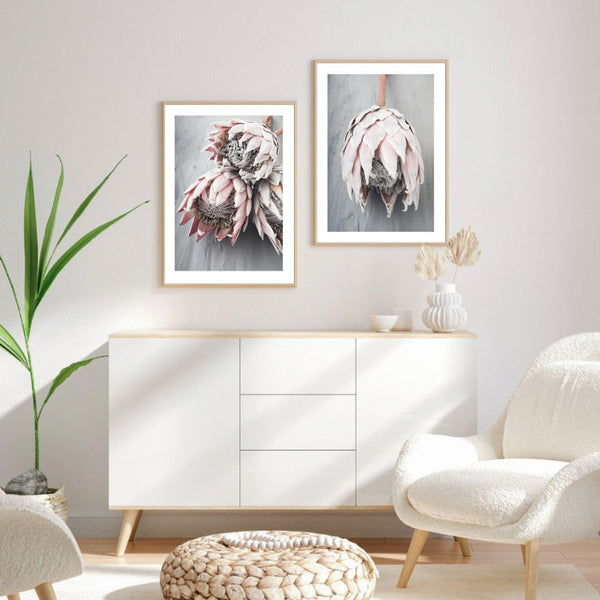 Dried Protea I Print-Art for Interiors-Online Framed-Australian Made Wall Art-Milk n Honey Designs