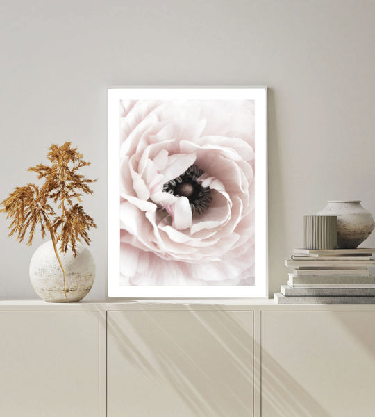 Ranunculus Flower I Print-Art for Interiors-Online Framed-Australian Made Wall Art-Milk n Honey Designs