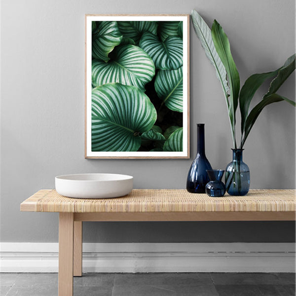 Variegated Leaf Photography Print-Art for Interiors-Online Framed-Australian Made Wall Art-Milk n Honey Designs