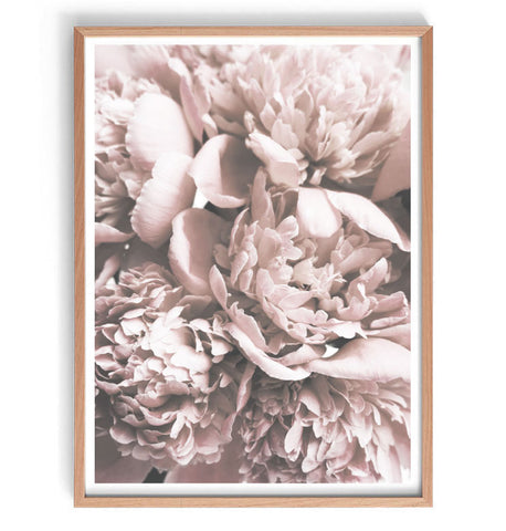 Vintage Blooms Print-Art for Interiors-Online Framed-Australian Made Wall Art-Milk n Honey Designs