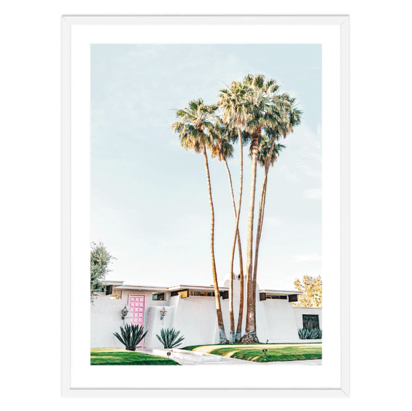 Palm Springs Door Print