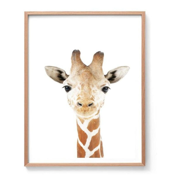 Baby Giraffe Print-Prints for - BOYS-Online Framed-Australian Made Wall Art-Milk n Honey Designs