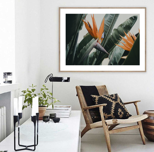 Bird of Paradise Leaf Print-Art for Interiors-Online Framed-Australian Made Wall Art-Milk n Honey Designs
