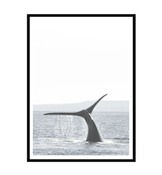 Hump Back Whale Ocean Print-Art for Interiors-Online Framed-Australian Made Wall Art-Milk n Honey Designs
